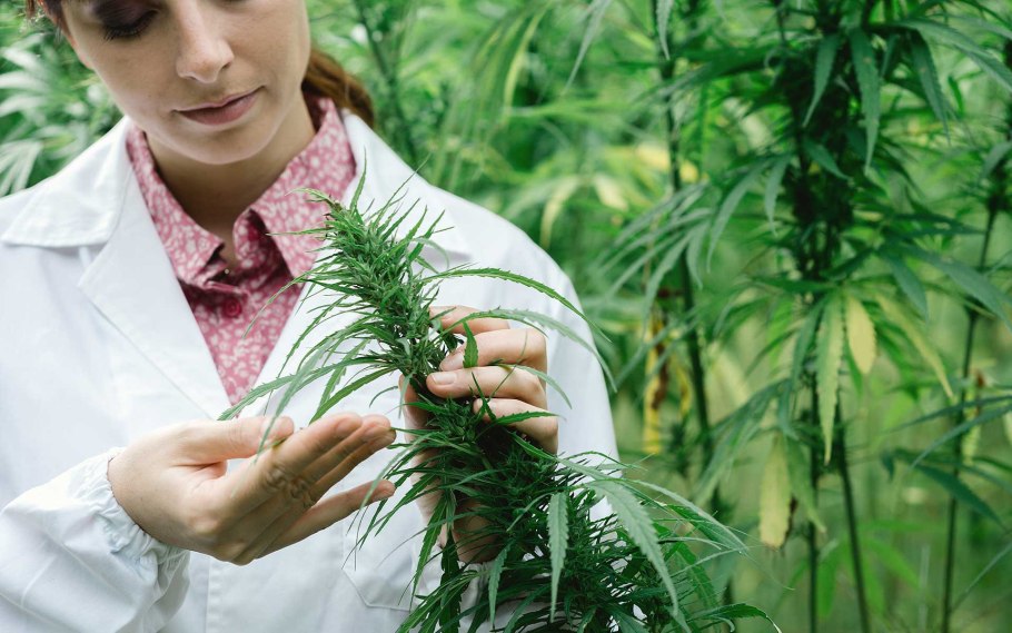 Защита растений