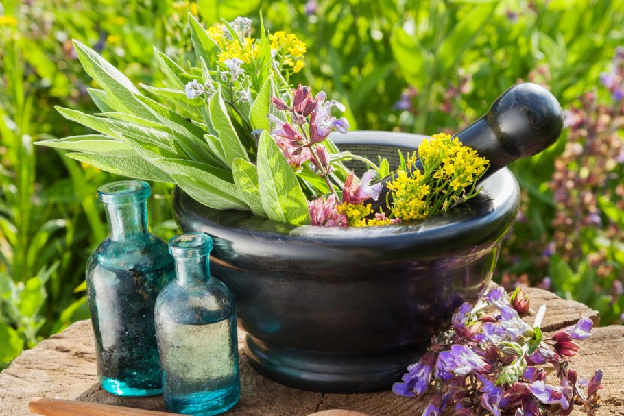 Пробиотики Натуропатия