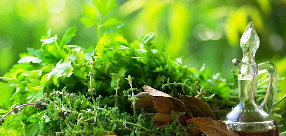 Сбор лекарственных растений