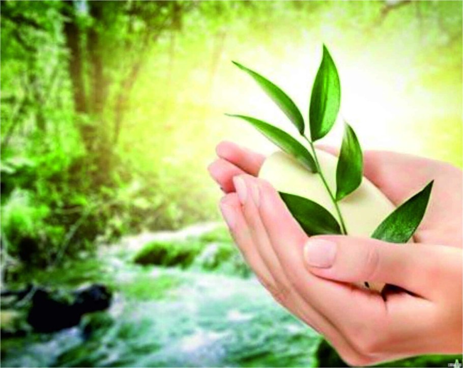 Сергей Турищев фитотерапевт