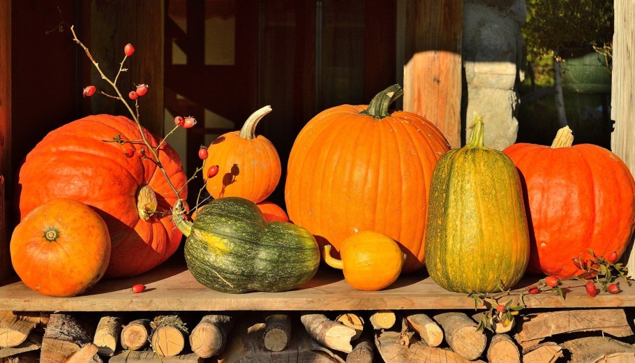 Гавриш тыква жёлтый центнер