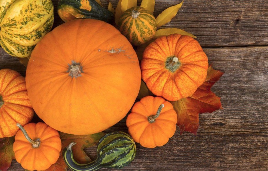 Тыква на столе