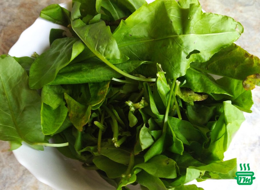 Съедобные сорняки