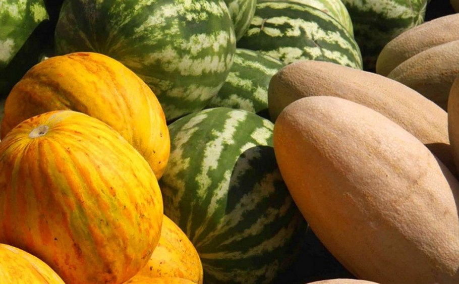 Овощные и бахчевые культуры