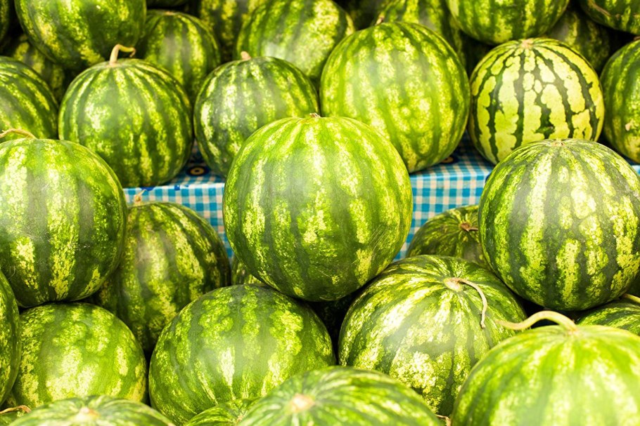 Арбуз Микадо f1