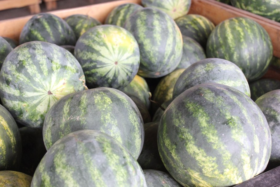 Арбуз и дыня