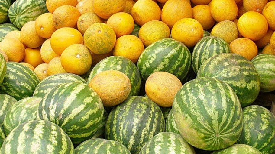 Блэкберн Арбуз дыня