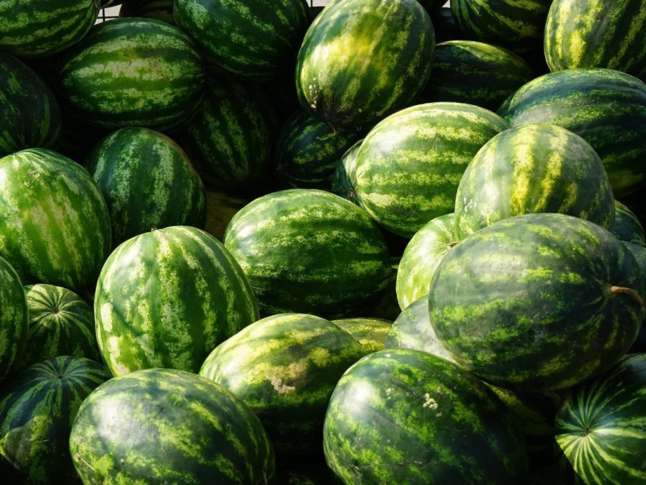 Арбуз это ягода или Тыквина