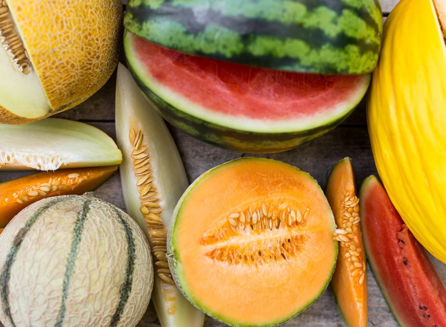 Бахча дыни в Краснодарском крае