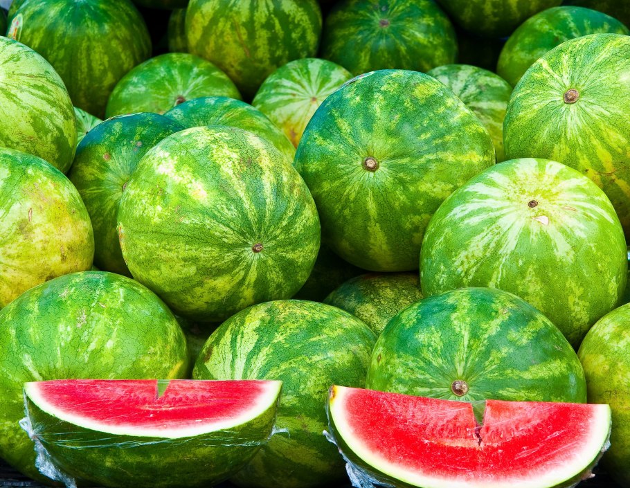 Сорт арбуза белые росы