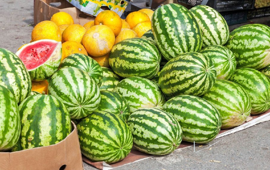 Бахчевые культуры Астрахани