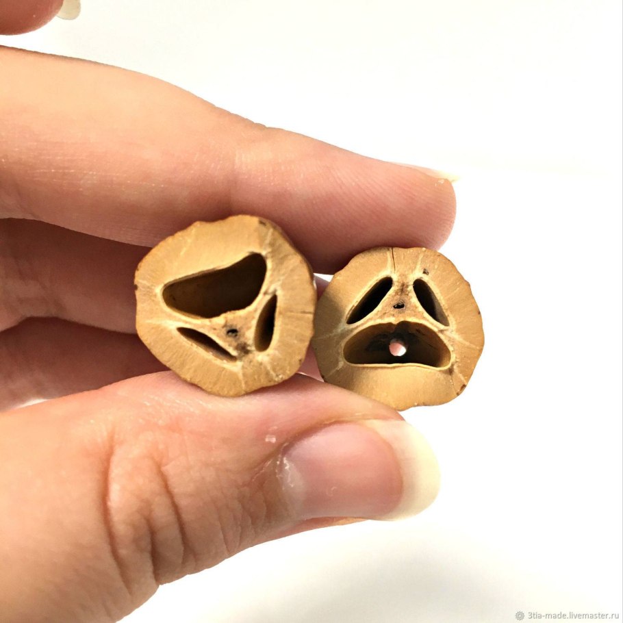 Маньчжурский орех украшения