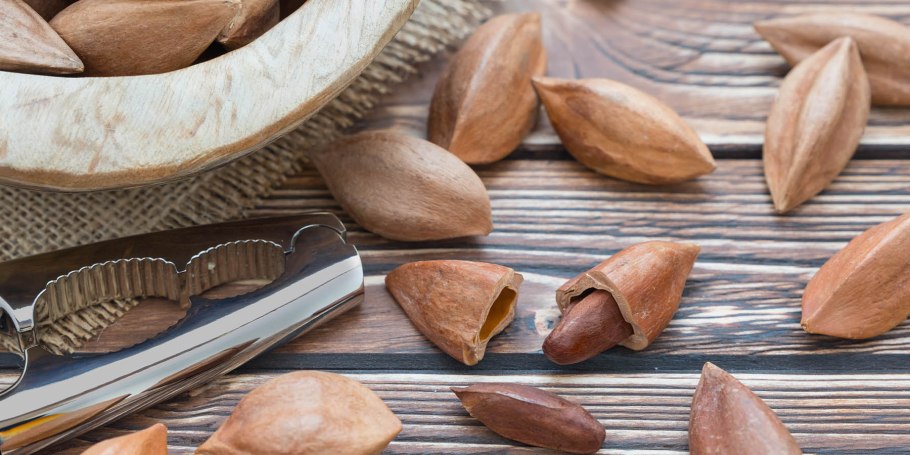 Канариум филиппинский орех