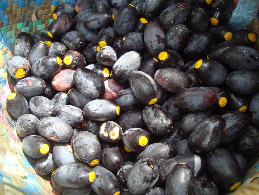 Вес ракушки 1 шт