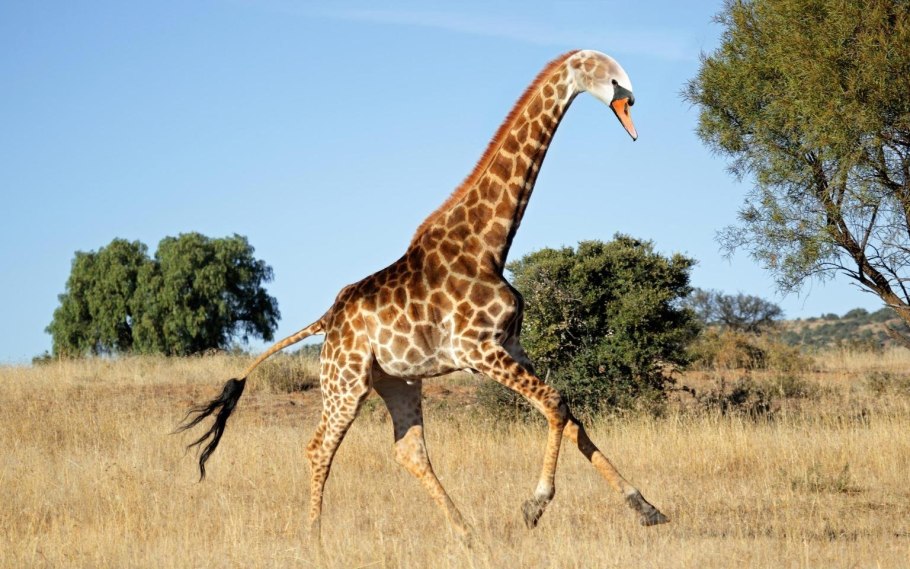 Мануэла Лопез пентхаус