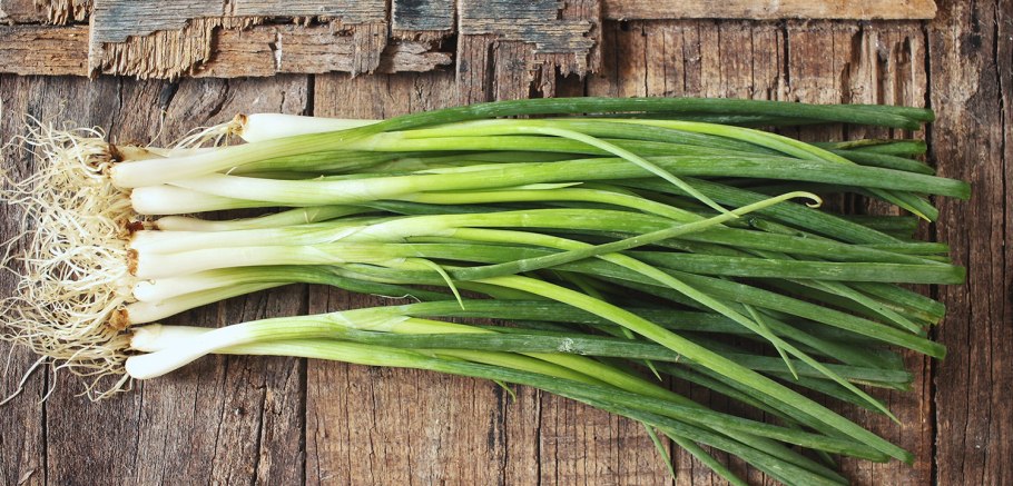 Сушка лука перьями вверх