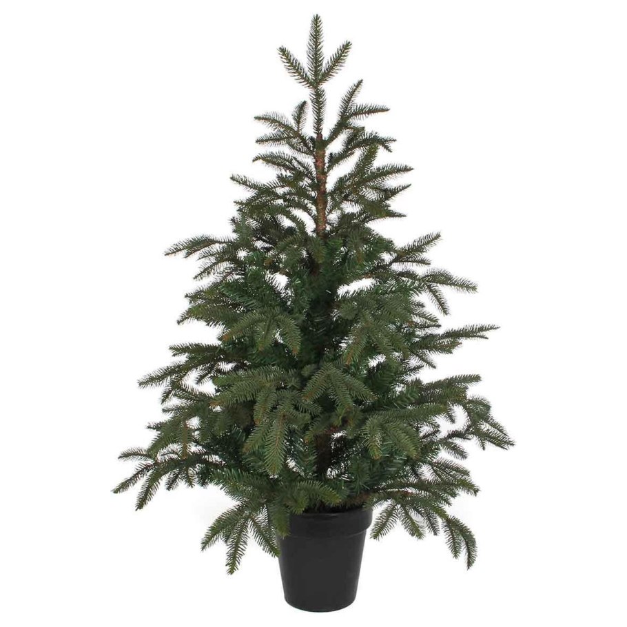 Ель в горшке