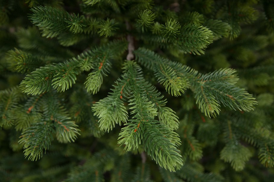 Ель искусственная