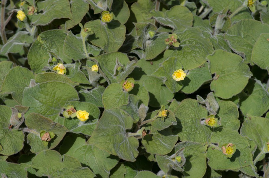 Джаред боится