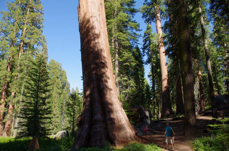 Национальный парк Секвойя (Sequoia National Park)