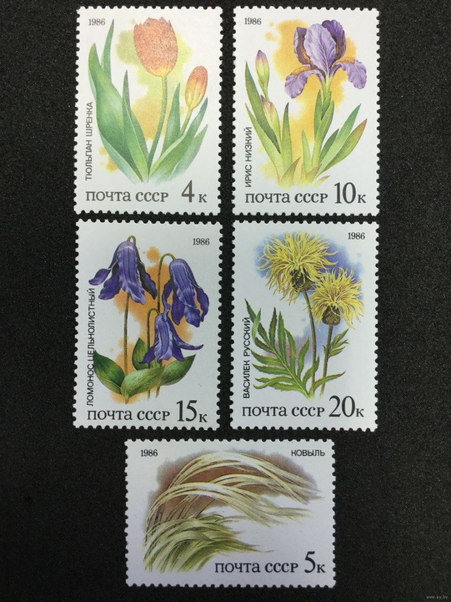 Цветы красной книги СССР