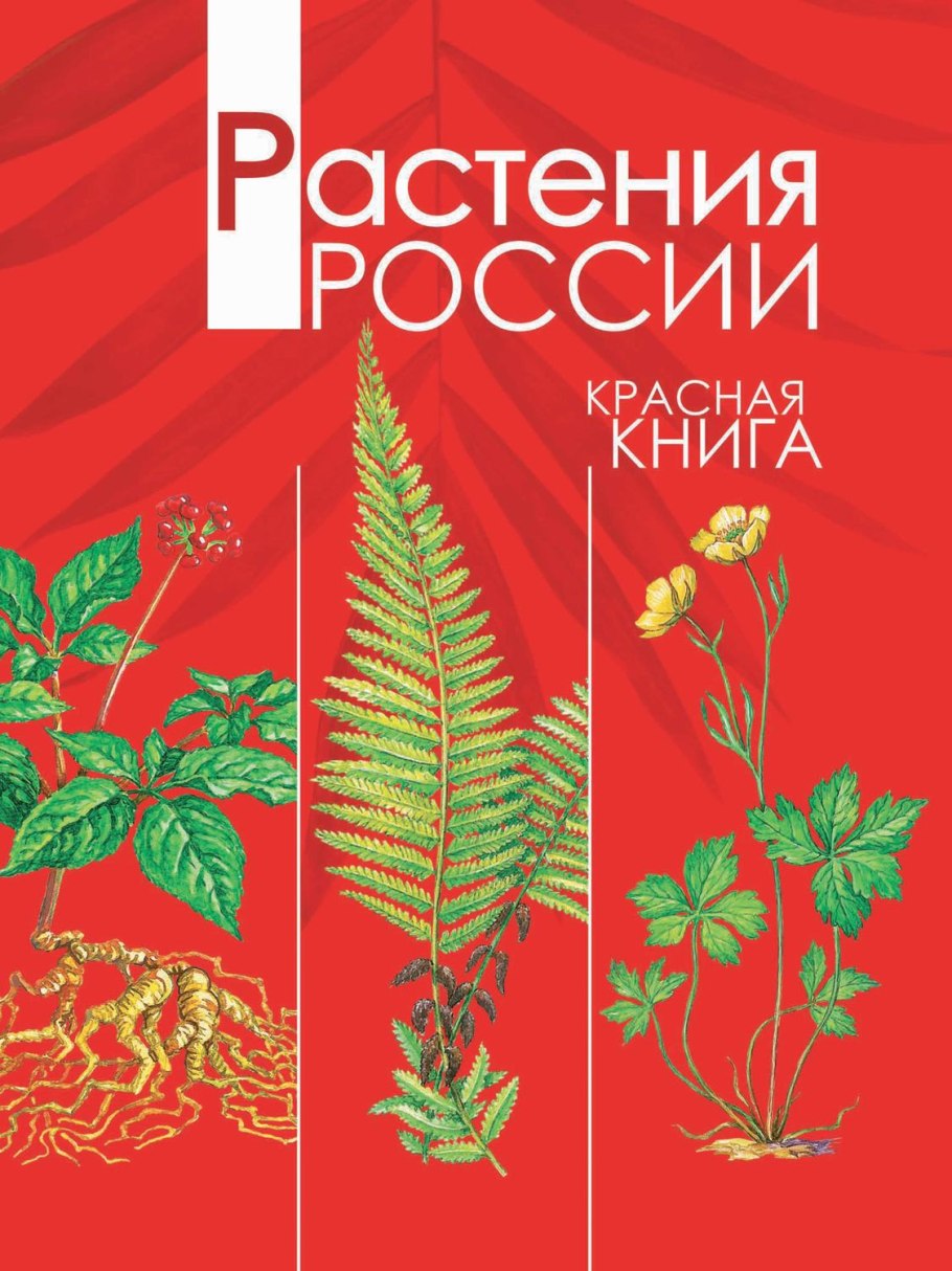 Книжные растения России краснокнижные растения России