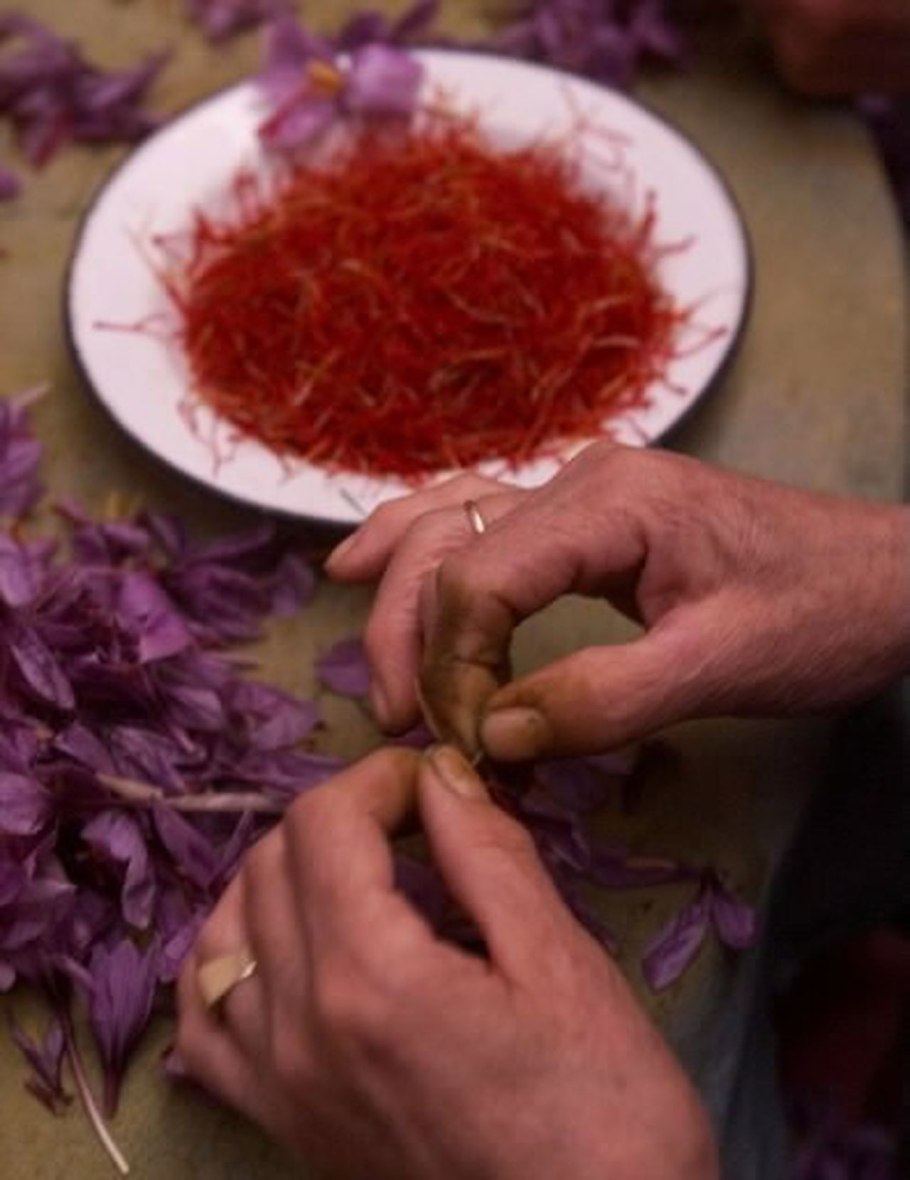 Шафран баркер