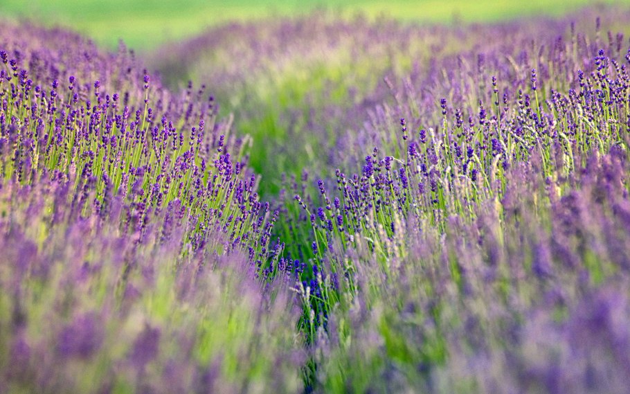 Летний закат