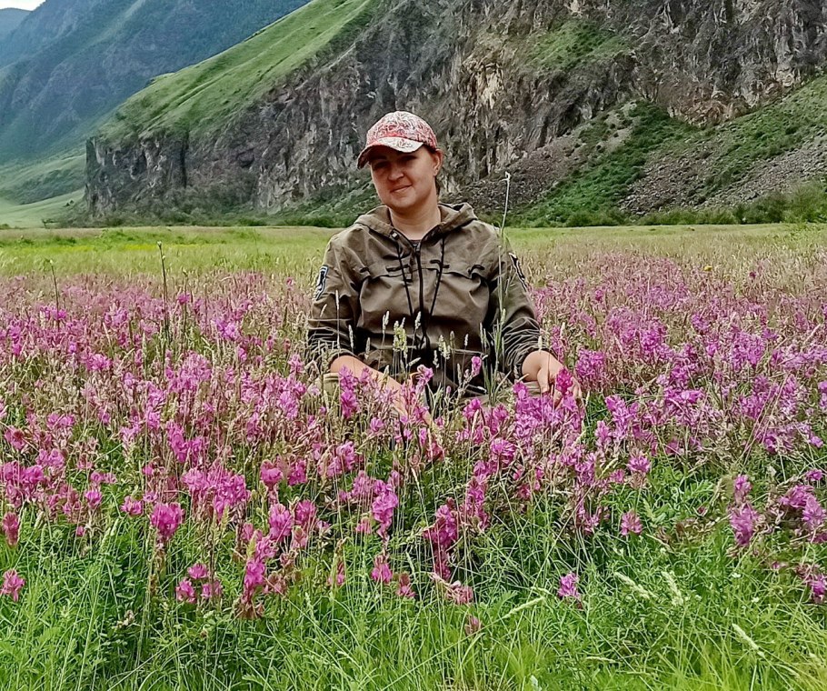 Viola altaica ker. - Gawl.