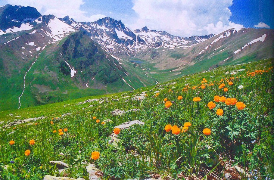 Карбюратор leader pz19jb