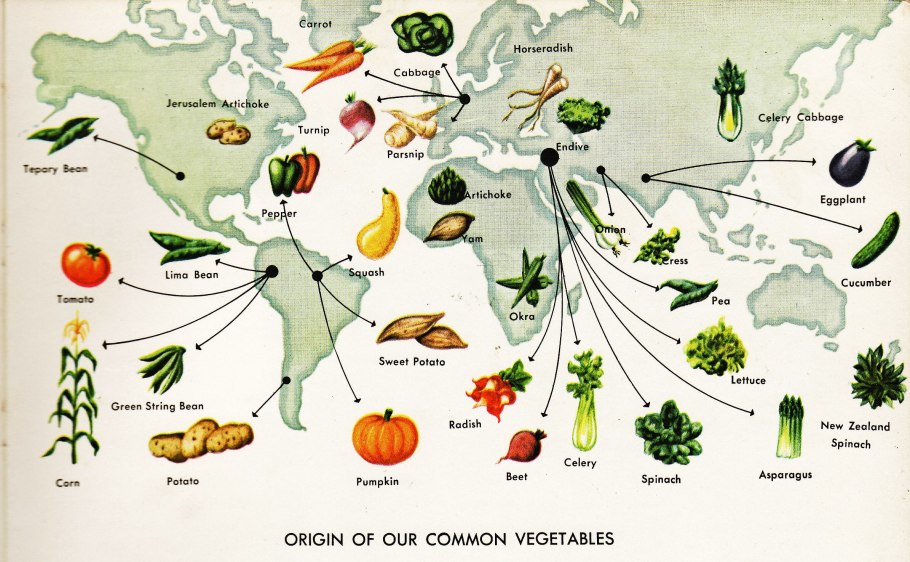 Центр происхождения культурных растений