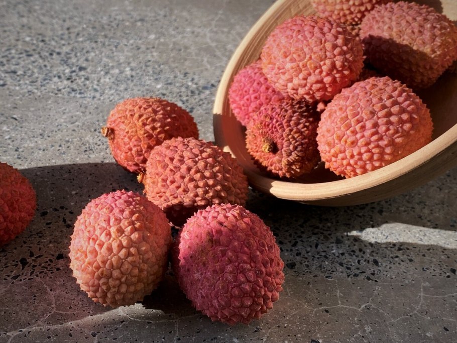 Вишня с висячими ветками название