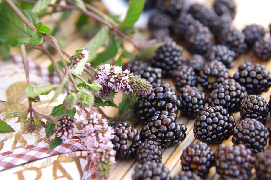 Ежевика и ежемалина