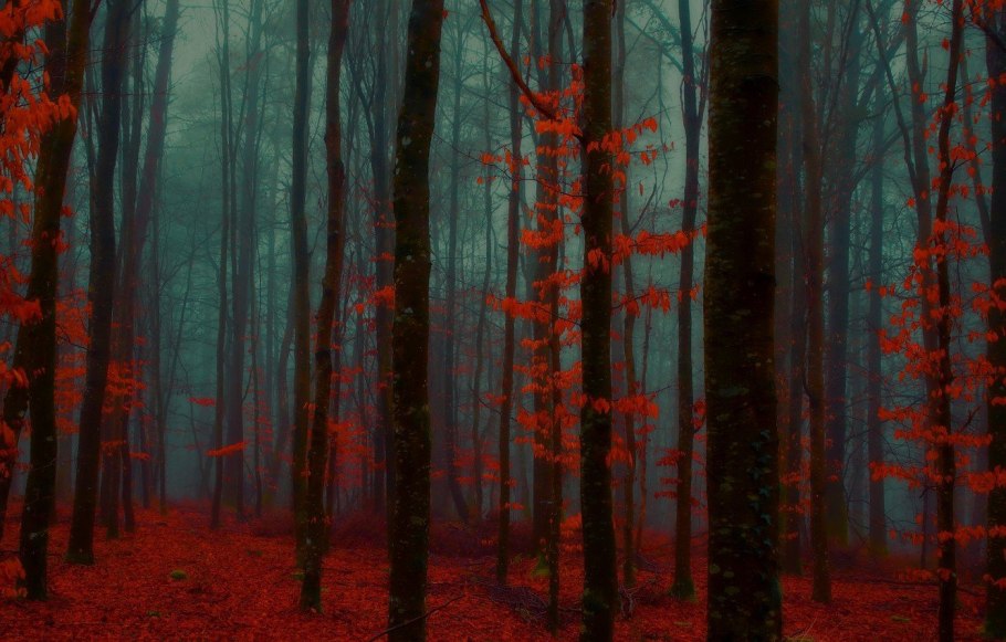 Красный цвет в природе