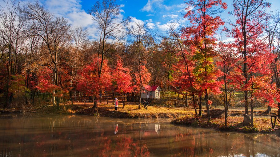 Осени пейзаж