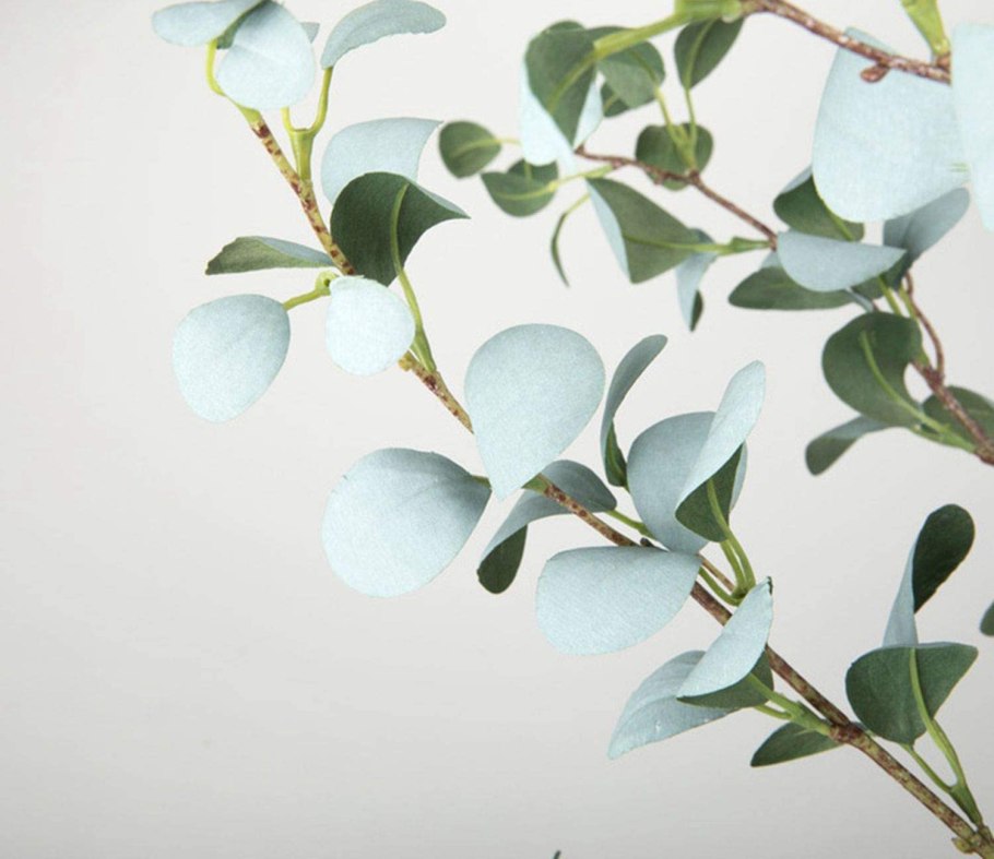 Тик шпон натуральный