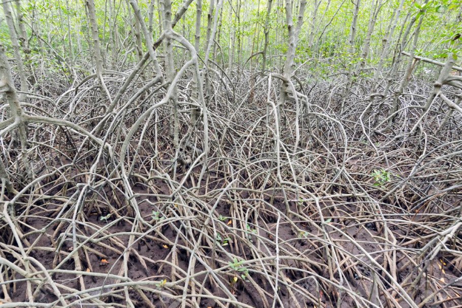 PV контроллер заряда ls1024rp