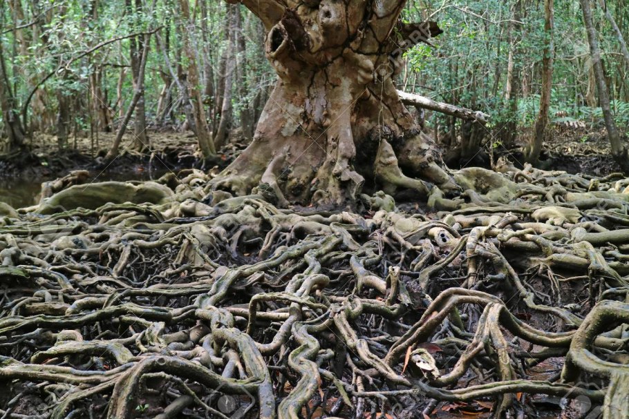 Светло салатовый цвет