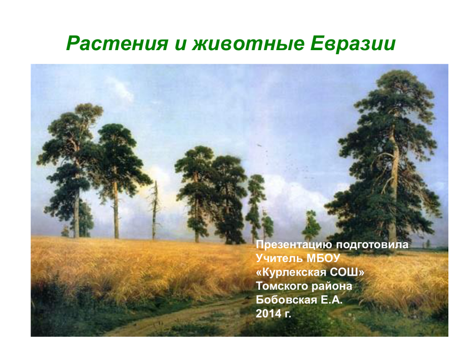 Растения тайги названия