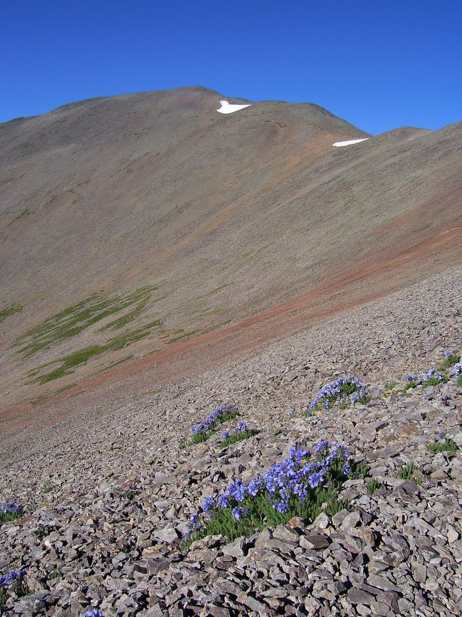 Гора синюха алтайский край