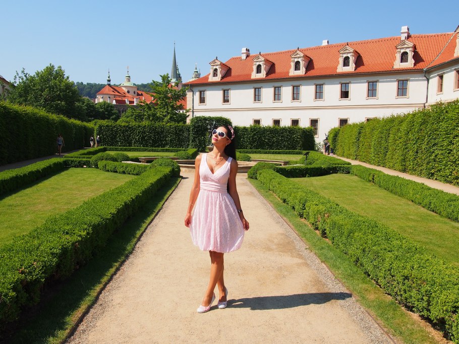 Кольквиция цветение