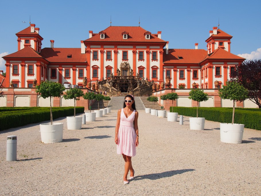 Бугенвиллия Brasiliensis