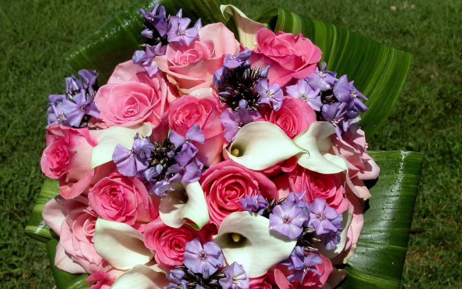 Красивые милые цветы