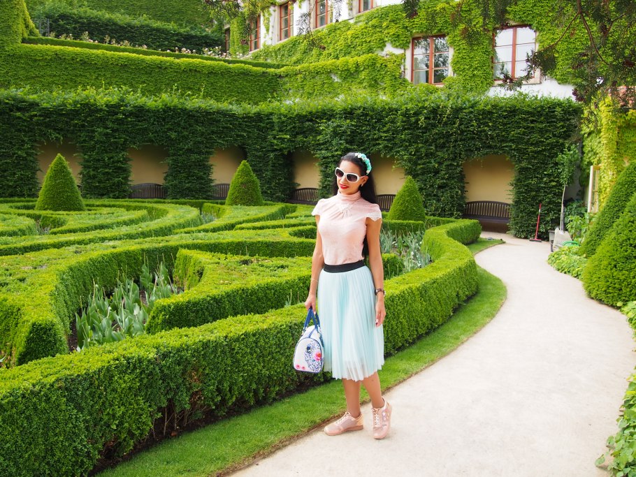 Chorisia insignis ( Хоризия замечательная