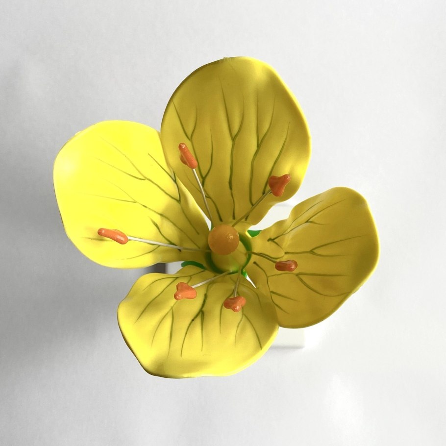 Модель цветка