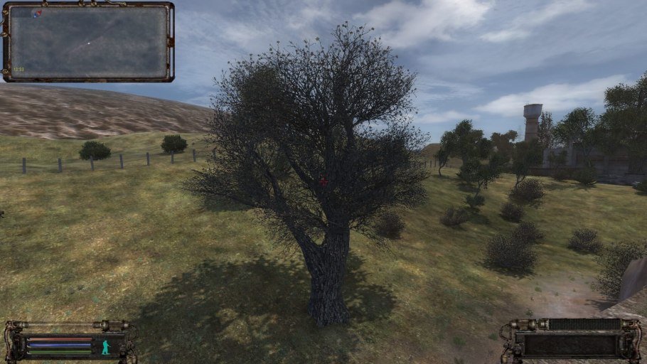 Дикая Орхидея тайник овальный