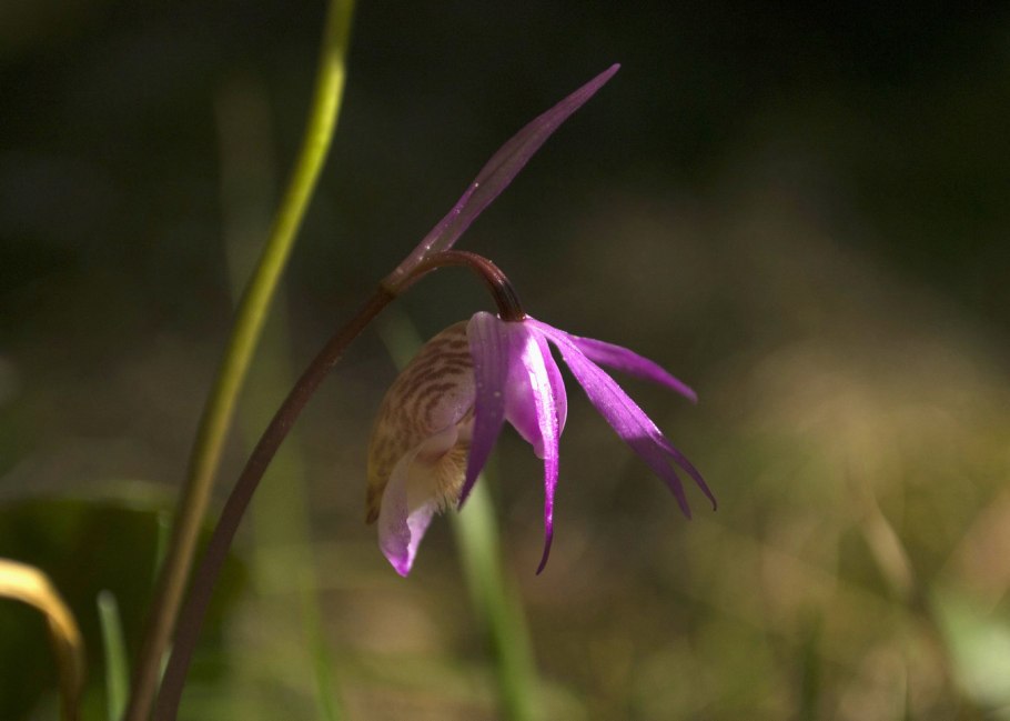 Надбородник тканевый