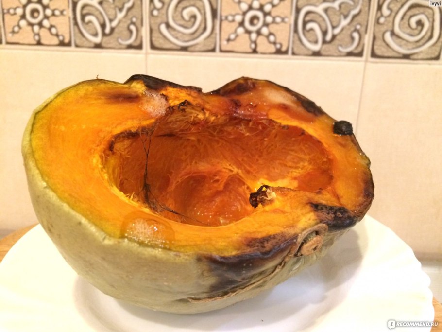 Тыква огуречная сорт