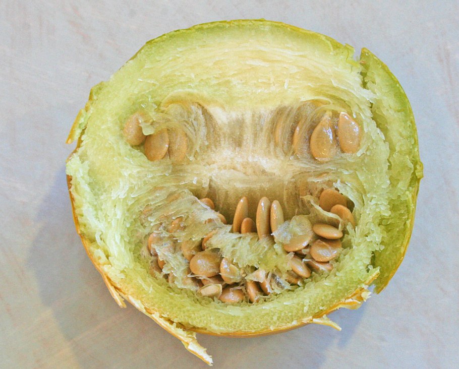 Тыква воняет