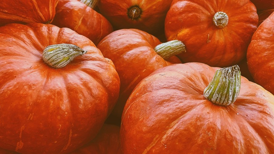 Тыква огромная